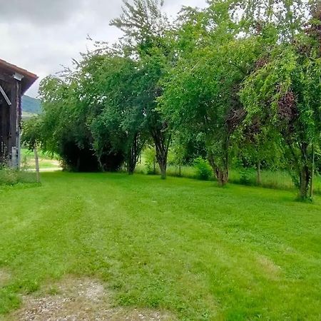 Superbe Demeure Au Coeur Des Pyrenees Ariegeoises Villa Montels  Ngoại thất bức ảnh